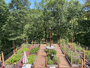 Roof Top Gardens